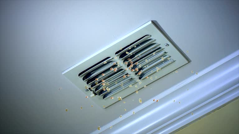 Best HVAC Duct Inspection Services  in Gamerco, NM