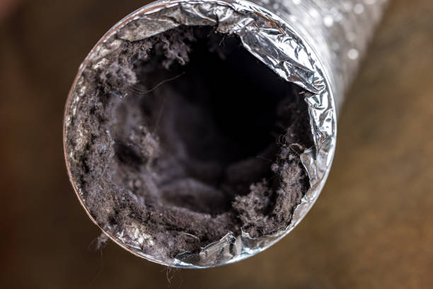 Best Affordable Air Duct Cleaning  in Gamerco, NM